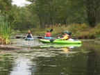 IMG 4627